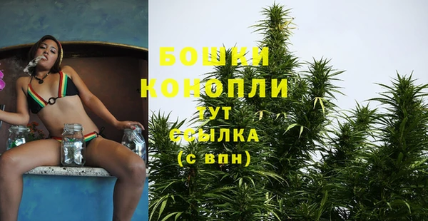 винт Дмитриев