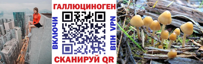 Псилоцибиновые грибы мухоморы  купить  сайты  Артём 