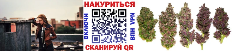 купить наркоту  Артём  ОМГ ОМГ онион  Каннабис марихуана 